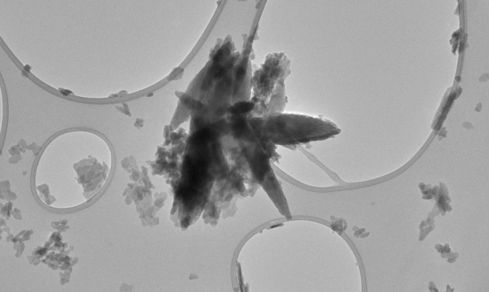 Người dân Đông Nam Á dễ nhiễm vi nhựa nhất thế giới, vì một lý do!- Ảnh 3. Người dân Đông Nam Á dễ nhiễm vi nhựa nhất thế giới, vì một lý do!- Ảnh 3.