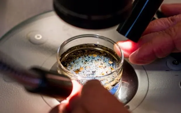 Người dân Đông Nam Á dễ nhiễm vi nhựa nhất thế giới, vì một lý do!- Ảnh 2. Người dân Đông Nam Á dễ nhiễm vi nhựa nhất thế giới, vì một lý do!- Ảnh 2.