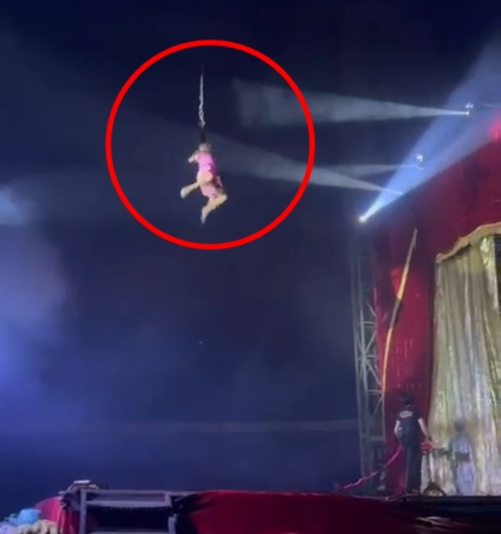 Diễn viên xiếc rơi tự do khi đang nhào lộn- Ảnh 1.