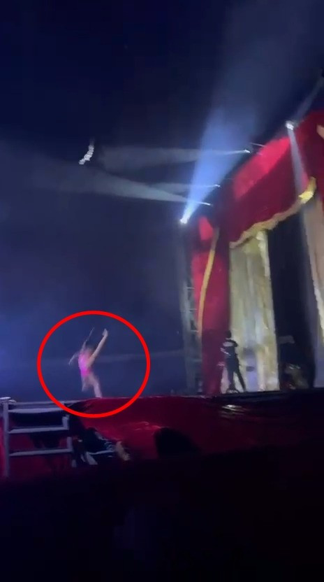 Vụ tai nạn trong rạp xiếc- Ảnh 2.