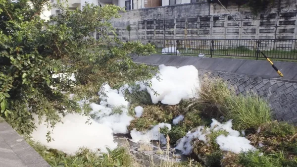 Nguy cơ ô nhiễm “hóa chất vĩnh cửu” tiếp tục gây lo ngại tại Nhật Bản np file 229939 19304386816010884280123 56091925031072758273901 1757919944286 1757919944579649723187