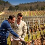 Brad Pitt tung đòn chí mạng vào Angelina Jolie ns miraval100621 1600 1762734486182 1762734486386128635438