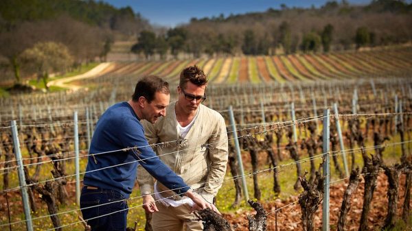 Brad Pitt tung đòn chí mạng vào Angelina Jolie ns miraval100621 1600 1762734486182 1762734486386128635438