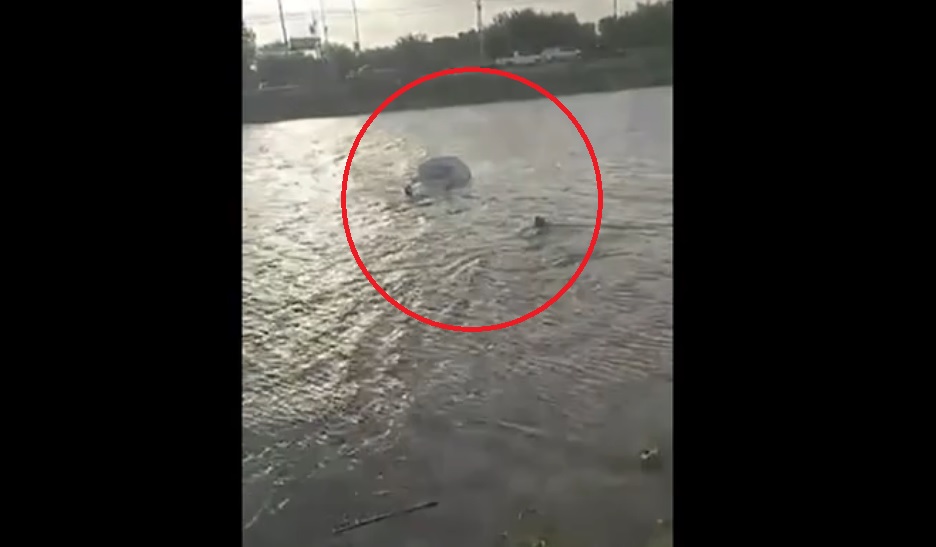 Ô tô lao xuống kênh, người dân đập cửa cứu 2 vợ chồng mắc kẹt- Ảnh 1. Ô tô lao xuống kênh, người dân đập cửa cứu 2 vợ chồng mắc kẹt- Ảnh 1.