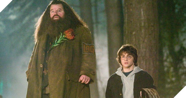 Fan Harry Potter Hình ảnh về diễn viên Robbie Coltrane trong vai bác Hagrid.