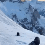 12,7 triệu người "hết hồn" khi hoa sen bất ngờ chuyển động và biến thành con vật không ai ngờ tới onditions the creature appea 1 1747301186318244373358 1747321 289 0 602 500 crop 17473212065401922396144 1747447340529 174744 0 0 477 764 crop 17474473865541750820345gifpng