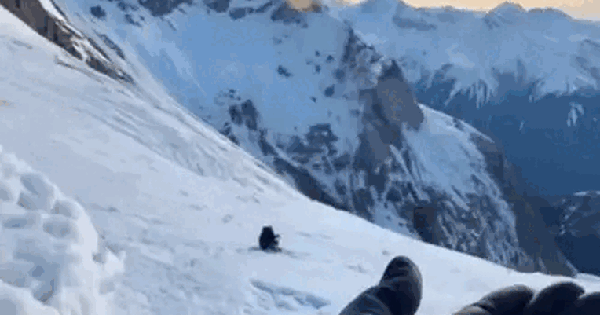 12,7 triệu người "hết hồn" khi hoa sen bất ngờ chuyển động và biến thành con vật không ai ngờ tới onditions the creature appea 1 1747301186318244373358 1747321 289 0 602 500 crop 17473212065401922396144 1747447340529 174744 0 0 477 764 crop 17474473865541750820345gifpng