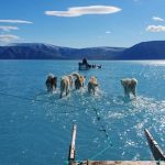 Bức ảnh chó husky đi trên băng đẹp đến kinh ngạc, nhưng đằng sau là một sự thật không ai muốn đối mặt! p0ky501s 1742194616185535835513 0 108 1079 1834 crop 1742194859527642181326 1742198449314 174219844951714802214 1 0 479 764 crop 17421984810681534965668jpg