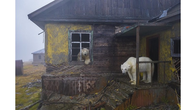 Tưởng chỉ là khoảnh khắc đẹp giữa thiên nhiên, ai ngờ bức ảnh này lại ẩn chứa thực tại đáng buồn- Ảnh 2.