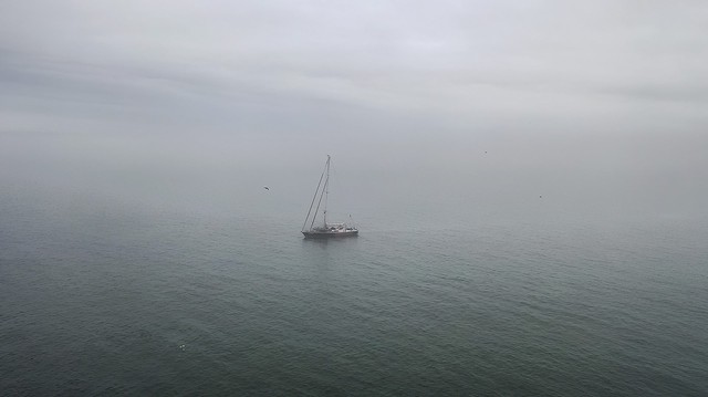 Tưởng chỉ là khoảnh khắc đẹp giữa thiên nhiên, ai ngờ bức ảnh này lại ẩn chứa thực tại đáng buồn- Ảnh 3.