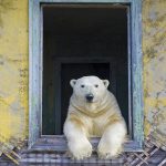 Tưởng chỉ là khoảnh khắc đẹp giữa thiên nhiên, ai ngờ bức ảnh này lại ẩn chứa thực tại đáng buồn p0l331d1 1744192136937273841276 1744266027417 17442660283901789587074 0 27 360 603 crop 17442661175361233507394jpg