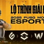 PUBG Mobile 2025: Cánh cửa thăng hoa cho game thủ Việt trên đấu trường Esports toàn cầu p120250409145623jpg