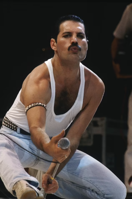 17 cuốn nhật ký bí mật của Freddie Mercury sẽ được công bố- Ảnh 1.