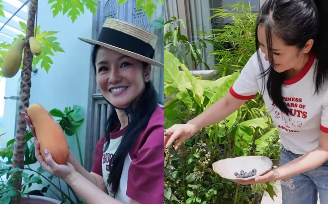 Cuộc sống của nữ diva trong penthouse rộng 650m2 ở phường An Khánh sau 6 tháng phát hiện bị ung thư- Ảnh 4.