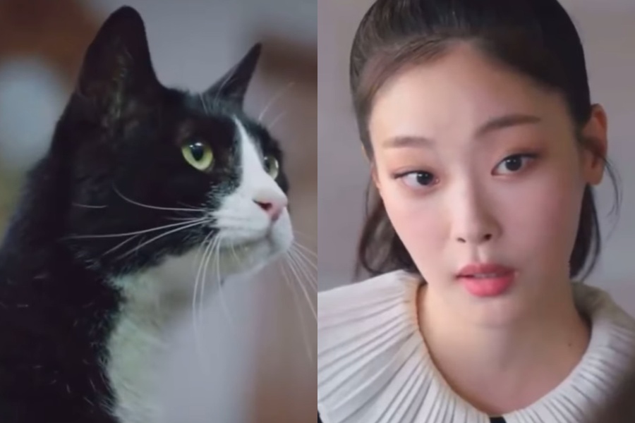 Phim Hàn hay tới độ rating tăng 106%: Nữ chính đẹp hơn cả thiên đường, tới con mèo cũng cực xuất sắc- Ảnh 4.