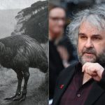 Nhà Làm Phim Peter Jackson Đầu Tư Dự Án Hồi Sinh Chim Khổng Lồ Moa Tuyệt Chủng peter jackson du an hoi sinh chim co rsnzjpg