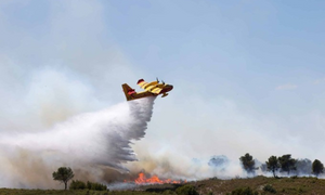 Cháy rừng dữ dội tại California, hơn 339 km² bị thiêu rụi, 4 người bị thương- Ảnh 7.