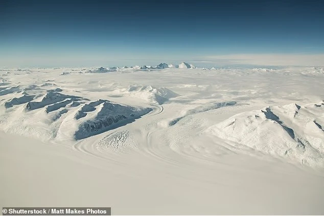 Phát hiện chấn động về thế giới cổ đại 34 triệu năm dưới băng Nam Cực- Ảnh 1. Phát hiện chấn động về thế giới cổ đại 34 triệu năm dưới băng Nam Cực- Ảnh 1.