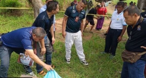 Phát hiện mùi bất thường khi đi chặt mía, người dân sốc nặng khi nhìn vào lò than- Ảnh 1. Phát hiện mùi bất thường khi đi chặt mía, người dân sốc nặng khi nhìn vào lò than- Ảnh 1.