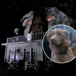 Phim Kinh Dị Mới Với Ngôi Nhà Ma Ám Gây Sốt Sau Khi Trailer Khiến Lượt Tìm Kiếm Google Tăng 2000% phim good boy6 ocvhjpg