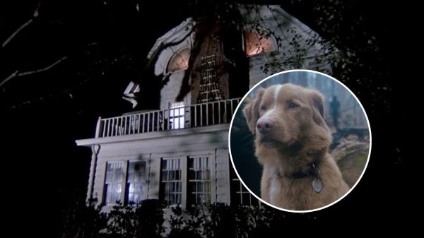 Phim Kinh Dị Mới Với Ngôi Nhà Ma Ám Gây Sốt Sau Khi Trailer Khiến Lượt Tìm Kiếm Google Tăng 2000% phim good boy6 ocvhjpg