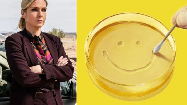 Series Mới Của Rhea Seehorn - “Người Thay Thế Better Call Saul” Tung Hình Ảnh Đầu Tiên 26 Series Mới Của Rhea Seehorn - “Người Thay Thế Better Call Saul” Tung Hình Ảnh Đầu Tiên phim moi cua tac gia breaking bad2 svrzjpg