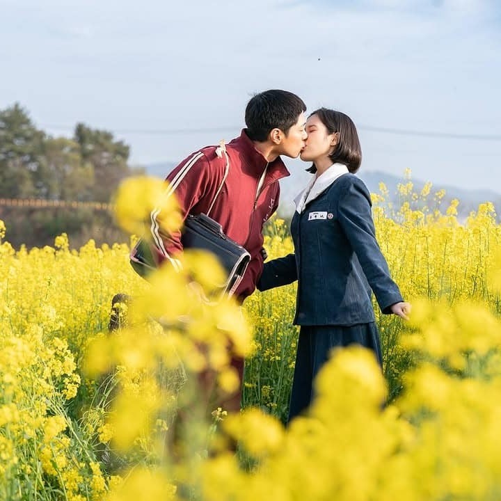 Ngọt ngào và cay đắng khi xem Khi Cuộc Đời Cho Bạn Quả Quýt- Ảnh 3. Ngọt ngào và cay đắng khi xem Khi Cuộc Đời Cho Bạn Quả Quýt- Ảnh 3.