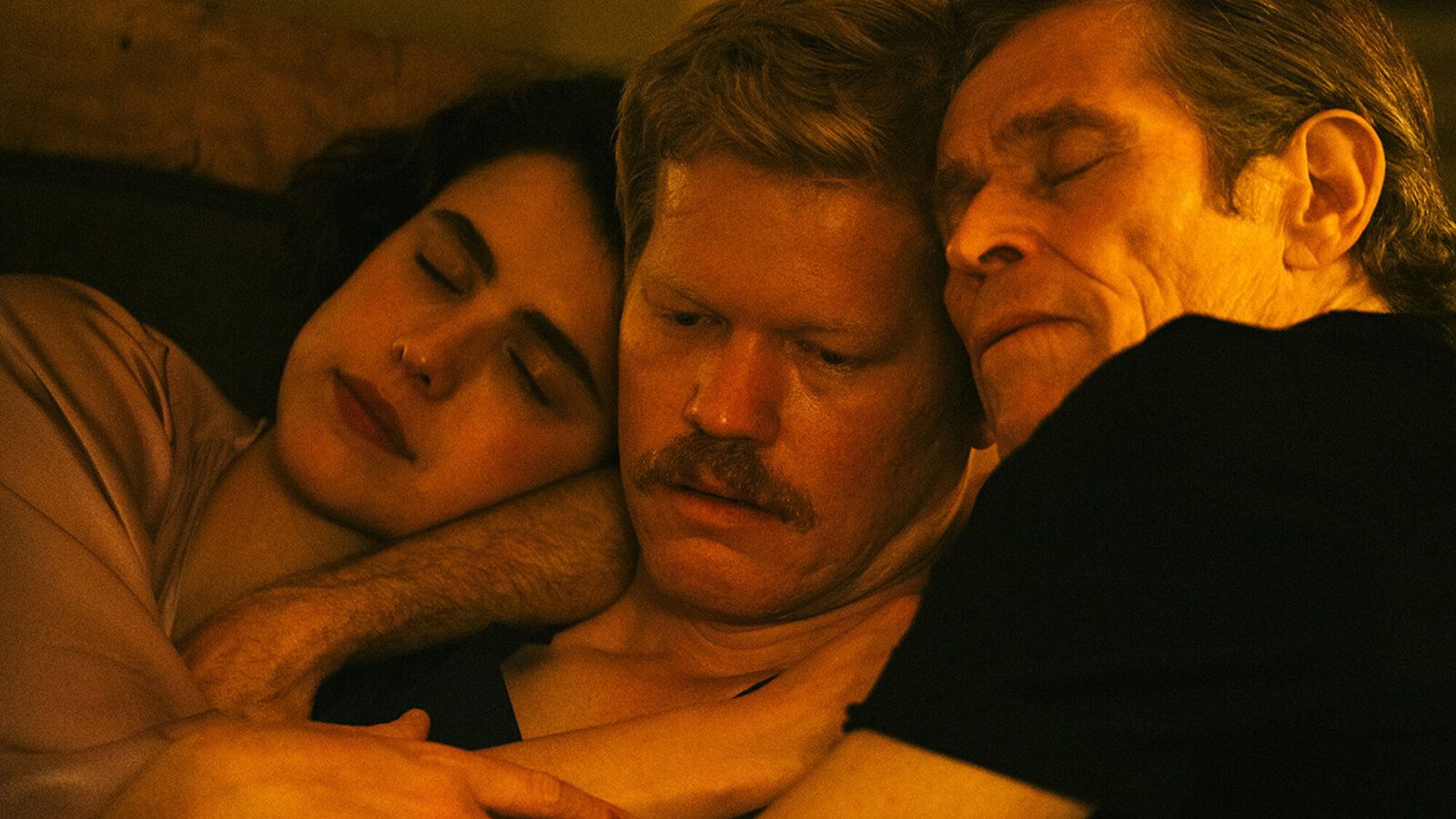 10 phim 18+ gây tranh cãi nhất LHP Cannes 10 năm qua (P.1): Đến diễn viên cũng phải bỏ về- Ảnh 4.