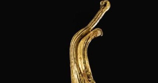 Khối vàng với dáng hình kỳ lạ quý hiếm nhất từng được tìm thấy, các chuyên gia không thể định giá nổi photo 1 1655367380085256225164 1752123494568556717269 1752203899489 1752203899658445001389 0 62 341 608 crop 1752203930081896615026jpg