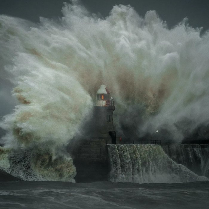 Dành 12 tiếng để chụp 4.000 bức ảnh ở biển, người đàn ông hãi hùng khi phóng to một tấm hình lên: “Chuyện gì đang xảy ra vậy?”- Ảnh 5.