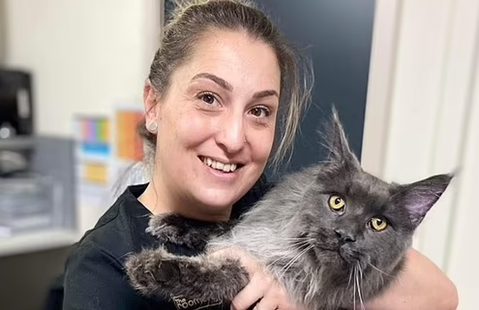 Đang đứng trong vườn nhà, người phụ nữ bỗng hét lớn rồi ngã quỵ: Hàng xóm chạy sang chứng kiến cảnh ám ảnh- Ảnh 4. Đang đứng trong vườn nhà, người phụ nữ bỗng hét lớn rồi ngã quỵ: Hàng xóm chạy sang chứng kiến cảnh ám ảnh- Ảnh 4.