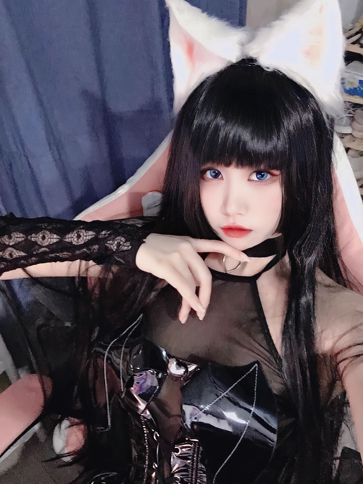 Hồ ly Bình Bình gây Hồ ly Bình Bình gây