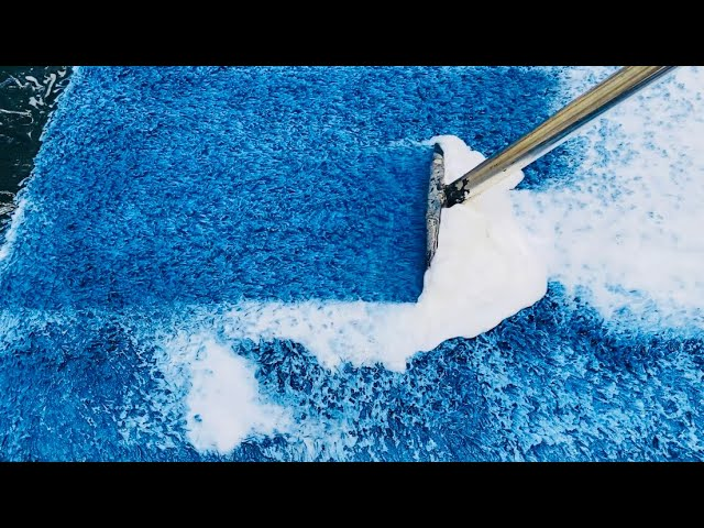 Vì sao 7,3 triệu người Vì sao 7,3 triệu người