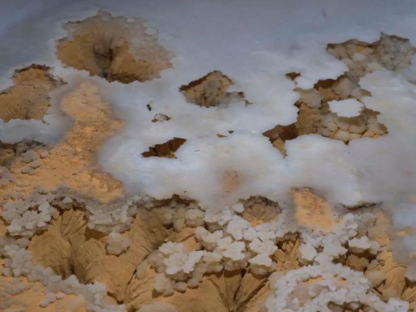 Đang đào mương dẫn nước,