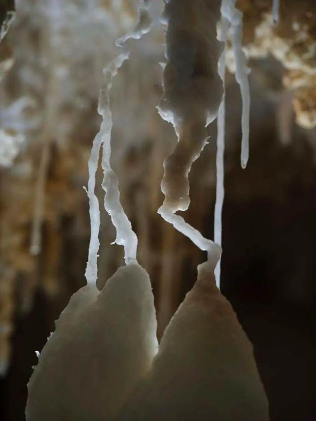 Đang đào mương dẫn nước,