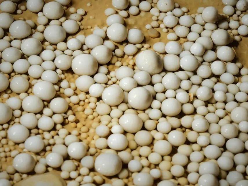 Đang đào mương dẫn nước,