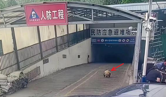 Ông nội đón cháu trai tan học nhưng lại không về thẳng nhà, camera ghi lại khoảnh khắc kinh hoàng- Ảnh 1. Ông nội đón cháu trai tan học nhưng lại không về thẳng nhà, camera ghi lại khoảnh khắc kinh hoàng- Ảnh 1.