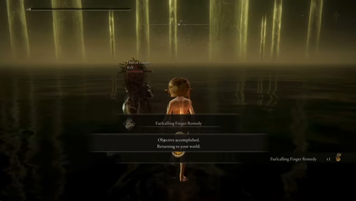 Đánh bại trùm cuối của Elden Ring 10000 lần, nữ game thủ được cộng đồng mệnh danh là “thánh sống”- Ảnh 3. Đánh bại trùm cuối của Elden Ring 10000 lần, nữ game thủ được cộng đồng mệnh danh là “thánh sống”- Ảnh 3.