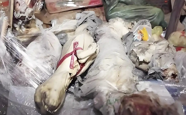 Rùng mình: Đột kích kho lạnh, tịch thu 100 tấn thịt bẩn chất thành đống, sắp chuyển đến các nhà hàng lẩu, nướng tổng giá trị lên tới hơn 18 tỷ đồng- Ảnh 1.