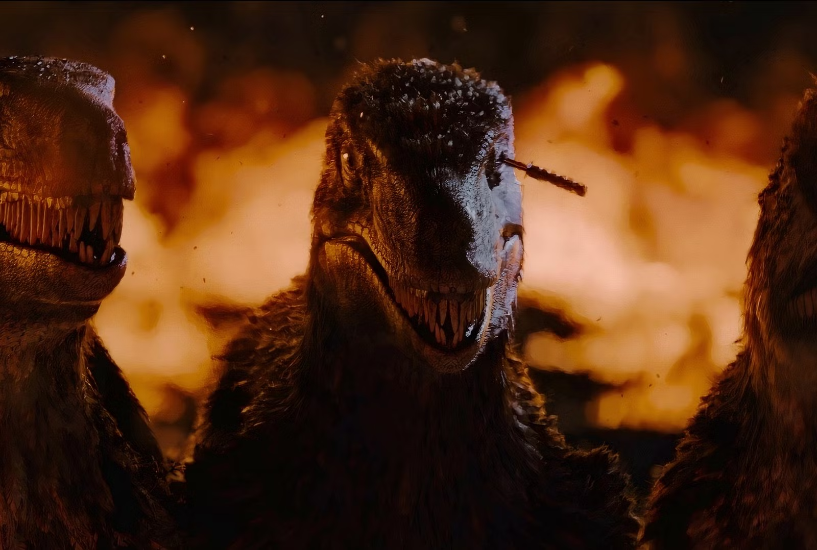 photo-1758612730975 photo-1758612730975