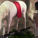 Đi "ngắm ngựa", hot girl khiến người xem ngỡ ngàng với diện mạo xinh đẹp photo 1758789007803 17587890080491264392674 1758789833715 17587898339972138162189 1758795257786 1758795257988259687843 553 0 1329 1242 crop 17587953799491959659269png