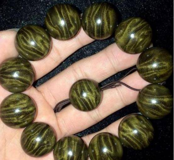 photo-1760694359680 photo-1760694359680