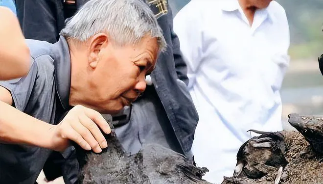 photo-1760694370087 photo-1760694370087