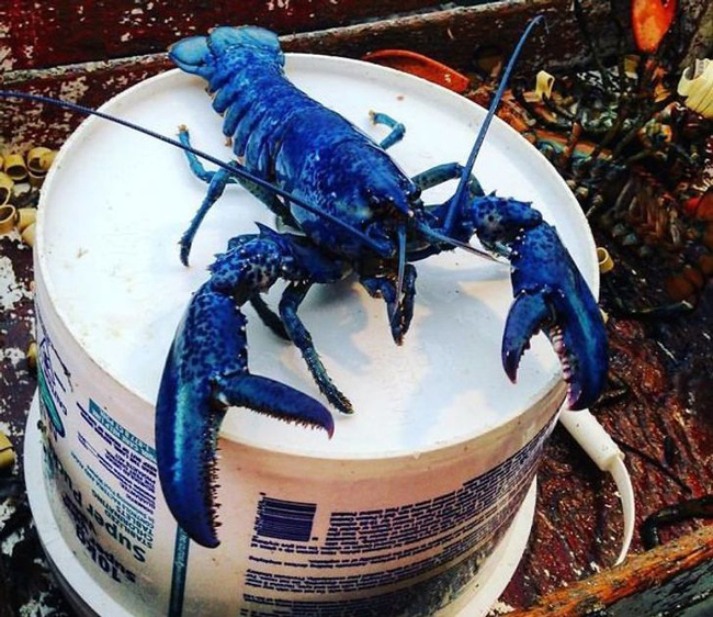 Điểm danh những sự trùng hợp đến khó tin, không biết phải may mắn đến đâu mới gặp được 1 lần trong đời- Ảnh 3.