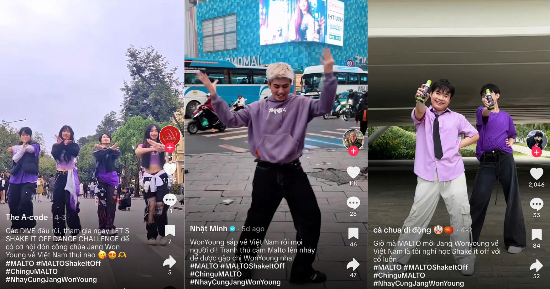 Lê Dương Bảo Lâm, Rhyder, Pháp Kiều, 7DNIGHT… mỗi người mỗi kiểu chào đón Jang Won Young đến Việt Nam tham dự MALTO ShakeFest- Ảnh 3.