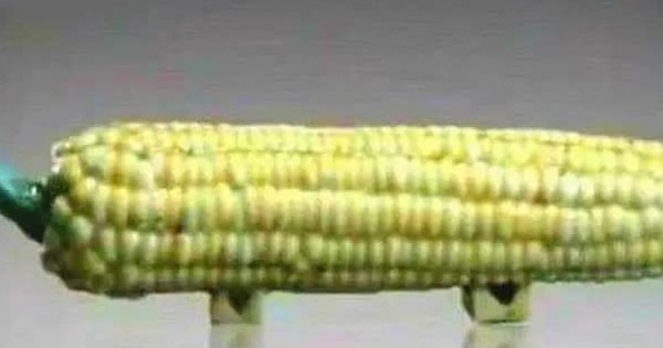 Mang "quả ngô" đi thẩm định cổ vật bị chuyên gia phán là đồ giả, cụ ông cười khẩy nói: "Có biết tôi là ai không?" photo 4 1684078571733989949318 1763710916678 17637109170131919624008 1763711761457 1763711761632187173951 0 11 371 605 crop 17637117816702127358670jpeg