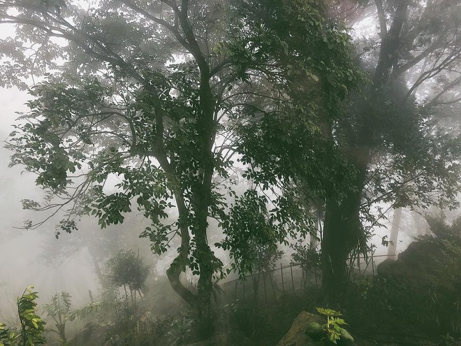 photo-4-17120167784521693865524-17552229964161483580479-1755227185870-1755227186243993226240 "Miền đất hứa" của Hoàng Thuỳ Linh - Đen Vâu: Biệt thự sân vườn, view hướng đồi, thích hợp gia đình 4 người nghỉ dưỡng! photo 4 17120167784521693865524 17552229964161483580479 1755227185870 1755227186243993226240