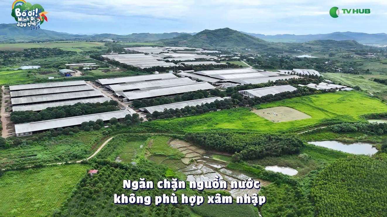 Tập 10 “Bố ơi, mình đi đâu thế?”: Chuyến đi “xanh mát” tại Trang trại hữu cơ TH khiến các bố con mê tít- Ảnh 5.