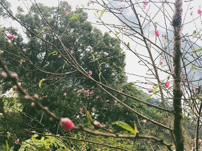 photo-5-1712016779522798182113-1755222996416238051653-1755227184632-17552271851371486074758 "Miền đất hứa" của Hoàng Thuỳ Linh - Đen Vâu: Biệt thự sân vườn, view hướng đồi, thích hợp gia đình 4 người nghỉ dưỡng! photo 5 1712016779522798182113 1755222996416238051653 1755227184632 17552271851371486074758