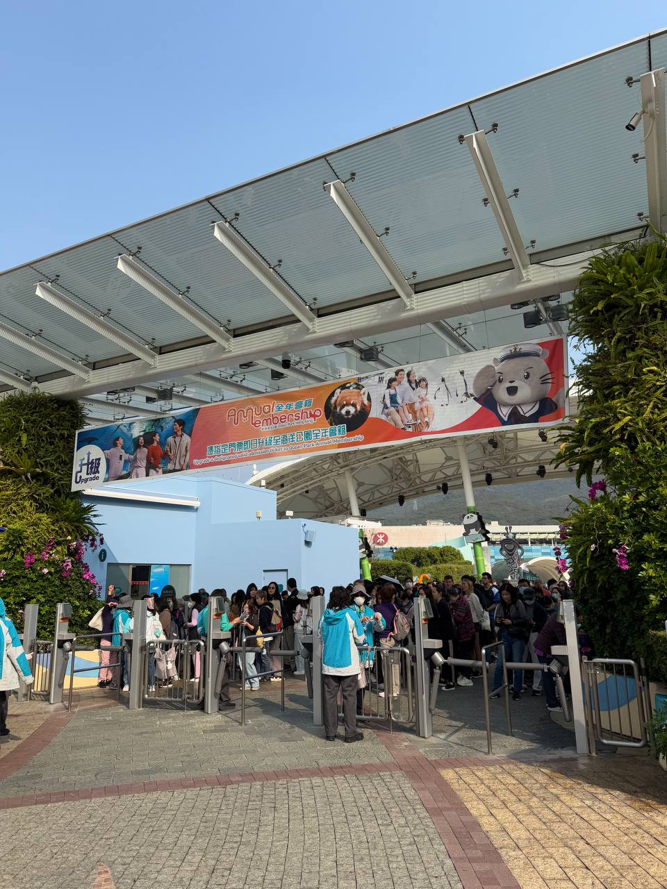 Hàng dài du khách xếp hàng, hào hứng được ghé thăm cặp gấu trúc song sinh siêu đáng yêu ở Hồng Kông (Trung Quốc)- Ảnh 7. Hàng dài du khách xếp hàng, hào hứng được ghé thăm cặp gấu trúc song sinh siêu đáng yêu ở Hồng Kông (Trung Quốc)- Ảnh 7.